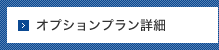 オプションプラン詳細